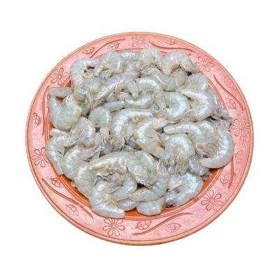 চাকা চিংড়ি